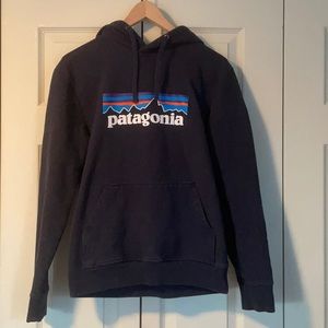 Patagonia Hoodie/ Sweatshirt